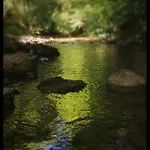 La Prestosa