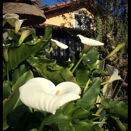 La Prestosa Country house