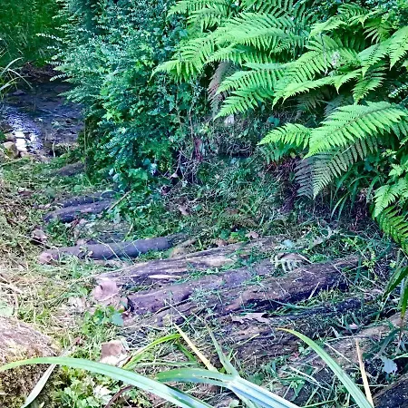 Gospodarstwo wiejskie La Prestosa Arriondas