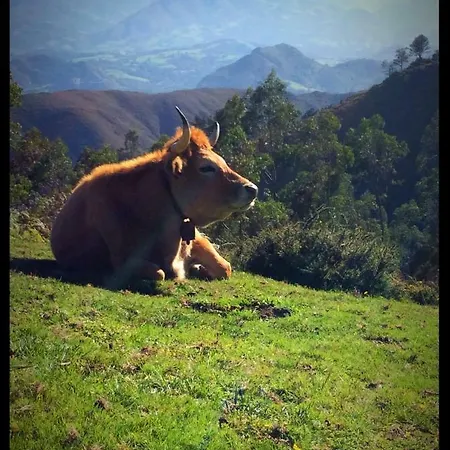 La Prestosa Gospodarstwo wiejskie *