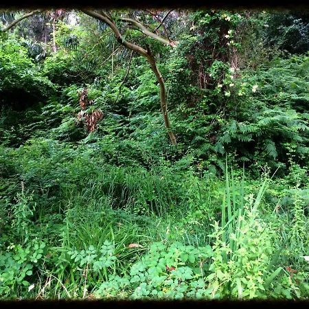 La Prestosa Gospodarstwo wiejskie Arriondas